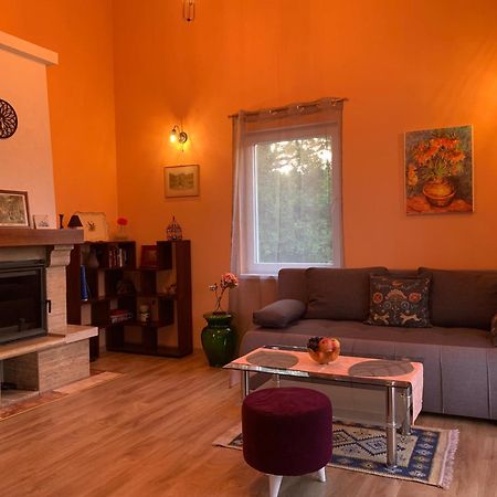 فيلا Patrick House تيفات المظهر الخارجي الصورة